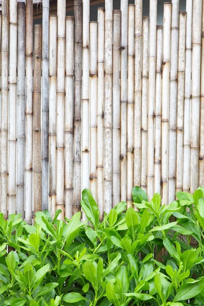 Bruin bamboe hout — Stockfoto