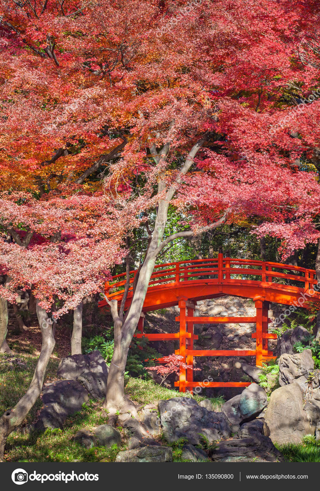 Red bridge japan Japanese red bridge — Stock Photo © Torsakarin