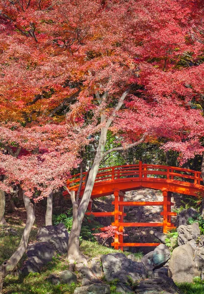 Ponte vermelha japonesa — Fotografia de Stock