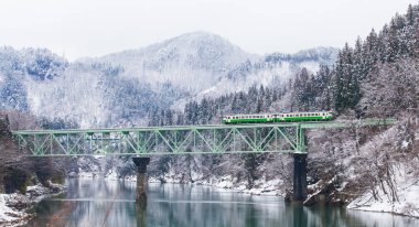 ' Yı Japon dağ