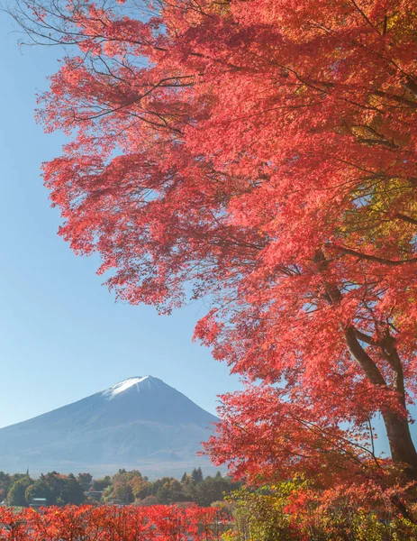 Гора Фудзі краєвид — стокове фото