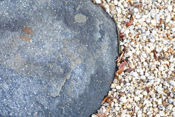 Garden stone path — Stock Photo, Image