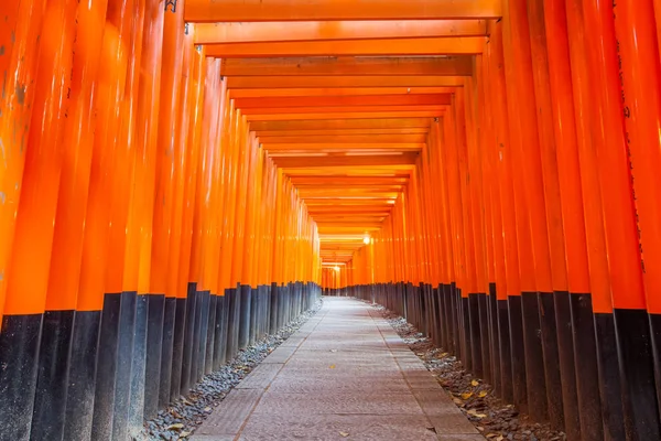 Migliaia di porte vermiglio torii — Foto Stock