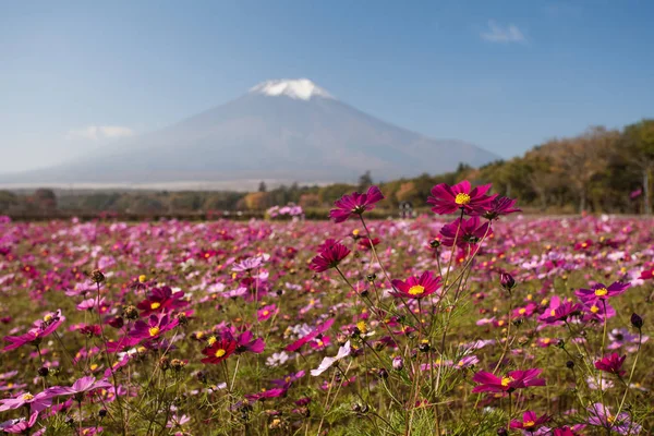 Berg fuji landschap — Stockfoto