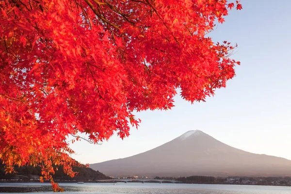 Hora fuji krajina — Stock fotografie