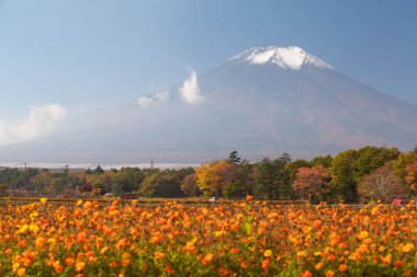 dağ fuji peyzaj