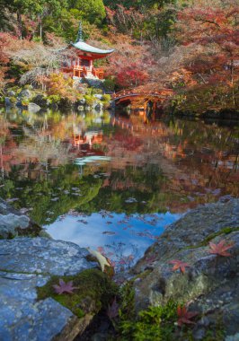 Sonbahar mevsiminde Japon bahçesi