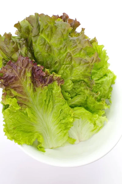 Fresh green lettuce — Stock Photo, Image