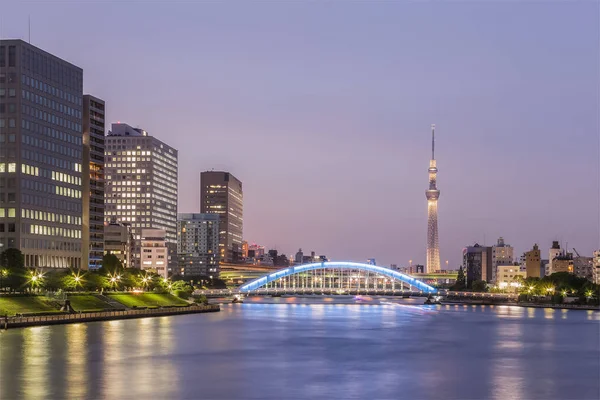 Vista sulla città di Tokyo — Foto Stock