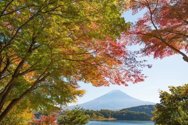 Mountain fuji landscape — Stock Photo, Image