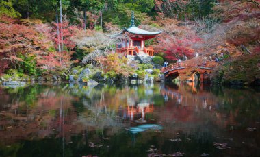 Sonbahar mevsiminde Japon bahçesi