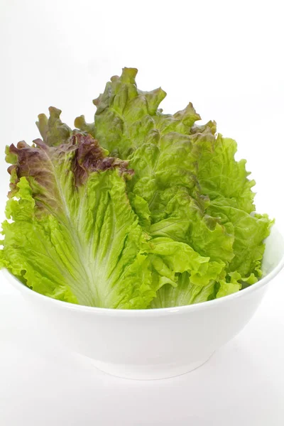 Fresh green lettuce — Stock Photo, Image