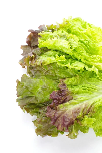 Fresh green lettuce — Stock Photo, Image