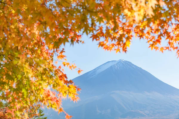 Mountain fuji landscape — Stock Photo, Image