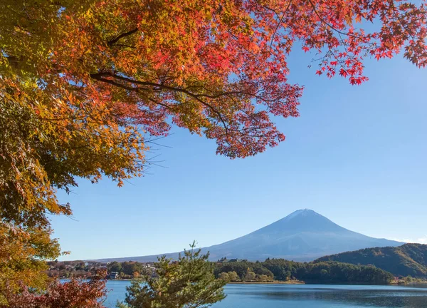 Mountain fuji landscape — Stock Photo, Image