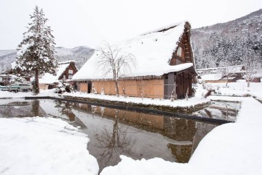 Japonya'nın Shirakawago Köyü