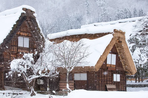 Village de Shirakawago au Japon — Photo