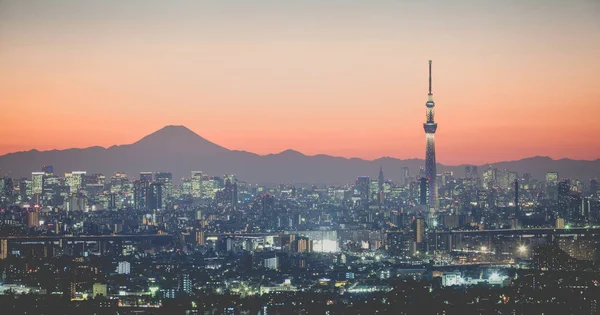 Berget fuji landskap — Stockfoto