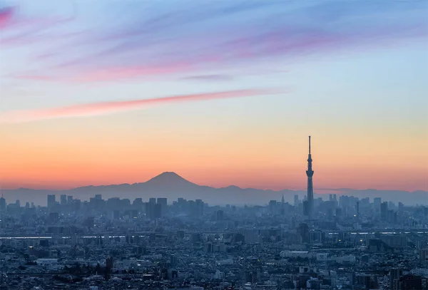 Dağ fuji peyzaj — Stok fotoğraf