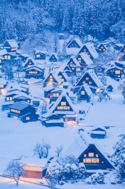 Japonya'nın Shirakawago Köyü