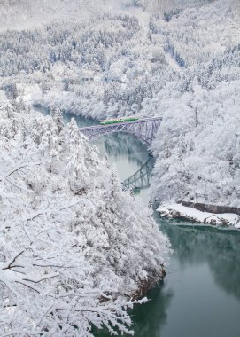 ' Yı Japon dağ