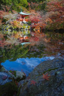 Sonbahar mevsiminde Japon bahçesi