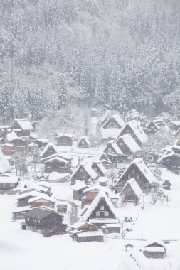 Site Shirakawago Köyü