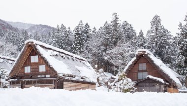 Site Shirakawago Köyü