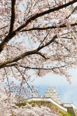 Japonya Himeji Kalesi
