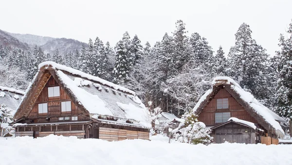 Site village de Shirakawago — Photo