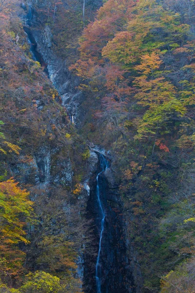 Pequeñas cascadas y árboles de otoño — Foto de Stock