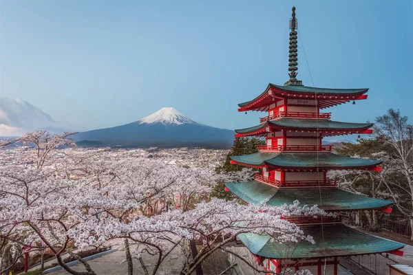 Kawazu Sakara y la montaña Fuji —  Fotos de Stock