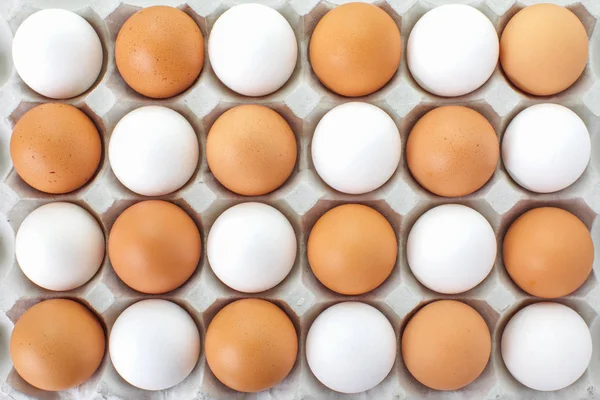 Čerstvá vejce v kolonce kartonu — Stock fotografie