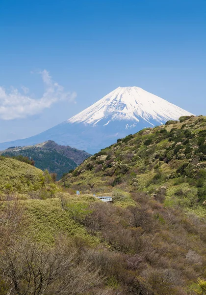 Fuji avec montagne verte — Photo