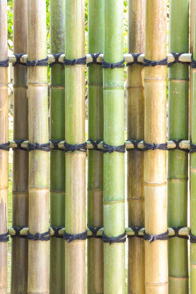 Aziatische stijl groene bamboe hek Stockfoto