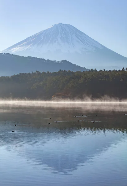 Lake saiko amd mountain fuji — Stockfoto