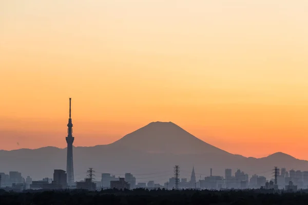 Tokyo Skytree ve Fuji Dağı — Stok fotoğraf