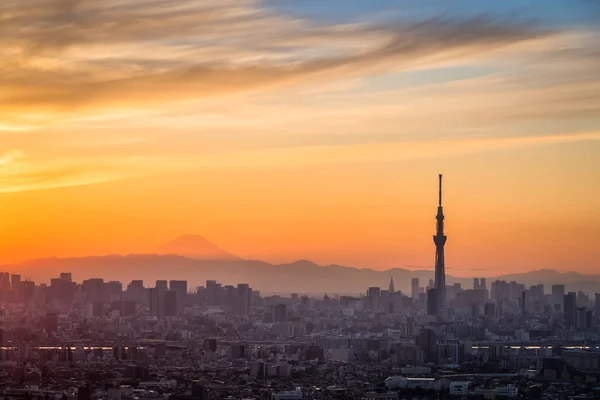 Tokyo city med Mt. Fuji — Stockfoto