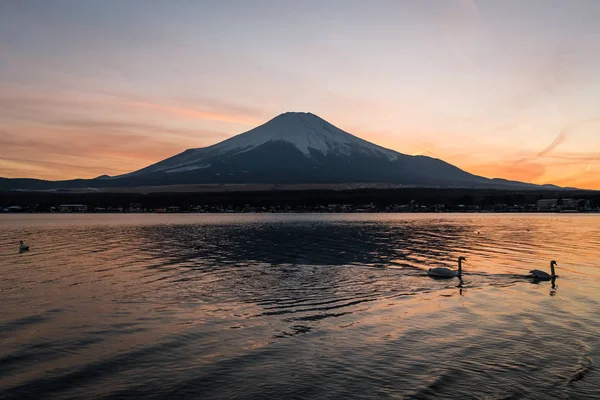 ภูเขาไฟฟูจิและทะเลสาบยามานากาโกะ — ภาพถ่ายสต็อก