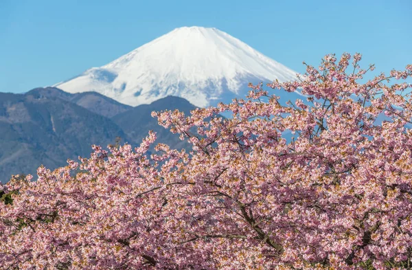 Prachtige berg Fuji — Stockfoto