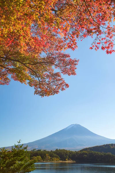 Rode esdoorn en berg Fuji — Stockfoto