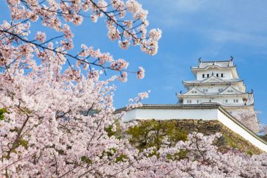 Japonya Himeji Kalesi 