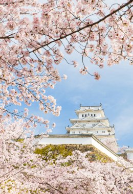 Japonya Himeji Kalesi 