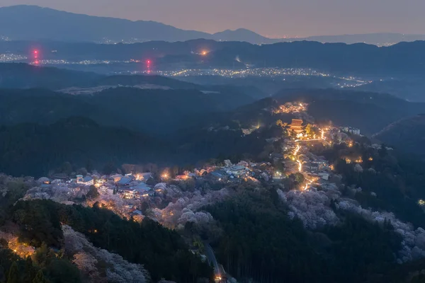 Sakura fiore di ciliegio con luce sul Monte — Foto Stock