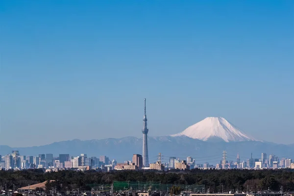 Vista de la ciudad de Tokio con Tokyo Skytree — Foto de Stock