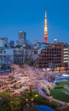 Tokyo Kulesi ve Sakura kiraz çiçeği