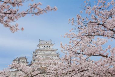 Japonya Himeji Kalesi 