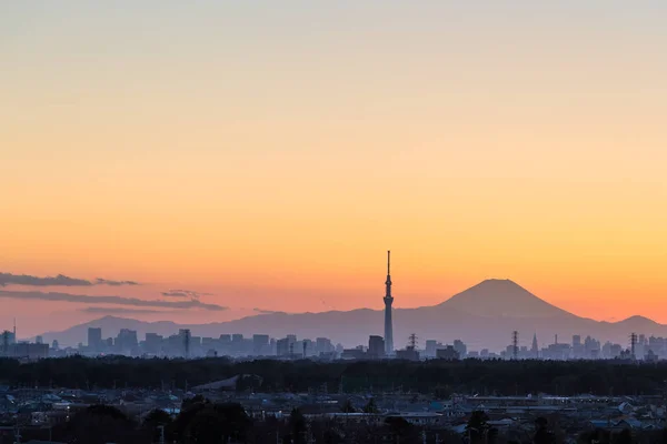 Tokyo Skytree ve Fuji Dağı — Stok fotoğraf