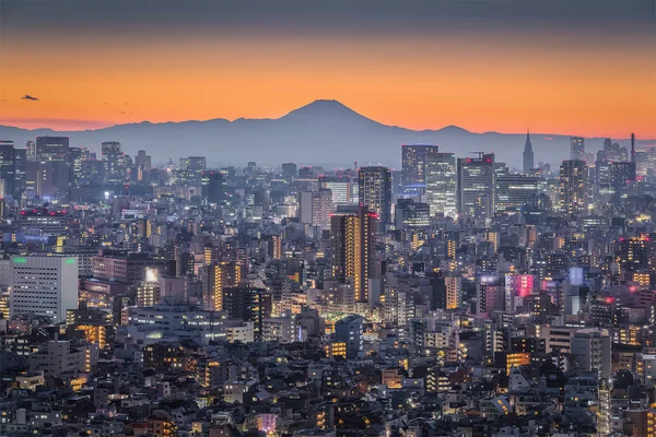 Vista de la ciudad de Tokio con Montaña Fuji — Foto de Stock