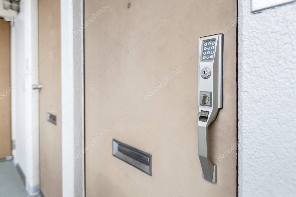 Door handle with Electronic keypad lock